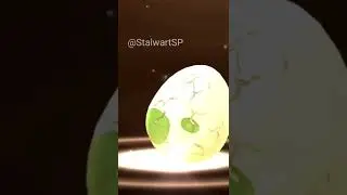 Most rare  2KM Egg Hatch #shorts
