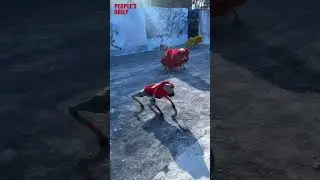 #Robot Dog at NE #China's Harbi Winter Wonderland