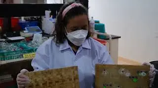 DOST FPRDI PROGRAMS
