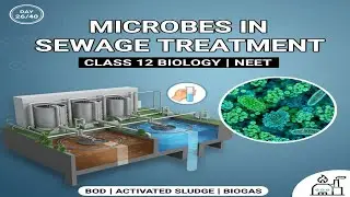 Microbes in Sewage Treatment Day-26 40 Days 40 sureshot topics #class12biology #neetpreparation