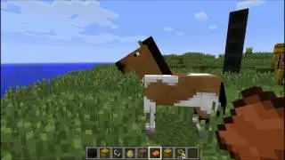 Обзор Minecraft 1.6 (Snapshot 13w18a + 13w18b) Пиратская версия (+Установка)