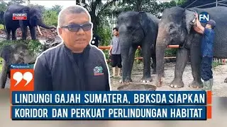 Lindungi Gajah Sumatera, BBKSDA Siapkan Koridor dan Perkuat Perlindungan Habitat