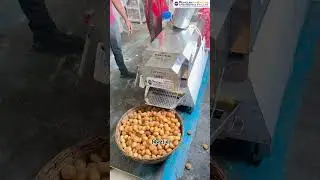 Mini Panipuri Fryer | Samosa Fryer Machine  #ytshorts #trending #viralshort