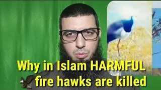 Prophet Muhammad on 🔥 Fire Hawks