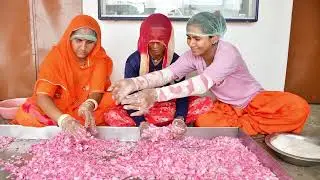 The Real Hero / पुष्कर वाला / Rose Gulkand / Natural Gulkand #pushkarwala #ajmer #trending #viral
