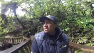 Mangapohue Natural Bridge