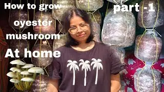How to grow Oyester mushroom🍄At home easily...Part -1||villagestyle||