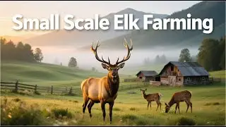 Small Scale Elk Farming: Your Complete Beginner&rsquo;s Guide to Raising Elk for Meat, Antlers & Profit!