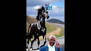 Geeraar qiimo badan, Abwaan Gammuute AHUN.  Waxaa ku luuqaynaya, Abwaan Maxamuud Waraabe.