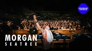 Morgan Seatree FULL SET | Colorado Charlie | Netherlands