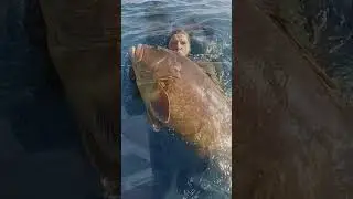 fotogramas del v&iacute;deo del mero de 36 kg y urta a 41 metros de profundidad de Jesus Jimenez reyes