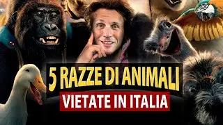 5 RAZZE di animali assolutamente VIETATE in Italia | Avv. Angelo Greco
