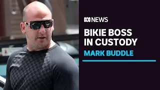 Comanchero boss Mark Buddle in police custody, facing extradition from Turkey | ABC News
