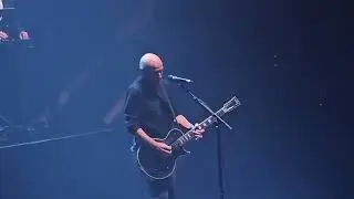 Midge Ure - 