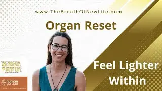 Reset Your Energy + Emotions with Organ Reset | Human Garage Fascia Maneuver