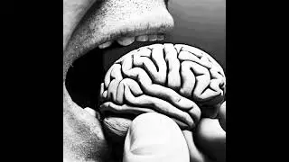 Neuronal Networks: The Default Mode Network
