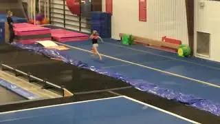 Vaulting 11/2020