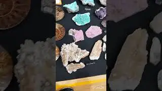 Mongrel-TV: Launceston gem & mineral Show