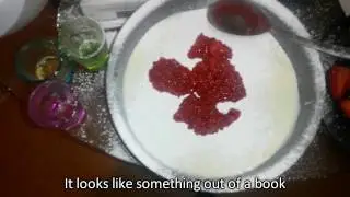 Simba's In the Kitchen - Strawberry Cheesecake