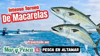Intenso Torneo de Macarelas