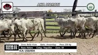INSP 365   AKA MOROTI