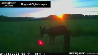 Spypoint Link Micro S Cellular Wildlife Camera