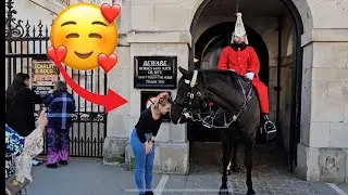 KINGS HORSE DISPLAY HEAD TO HEAD AFFECTION? Horse Guard, Royal Guard, Kings Guard, Horse, London.