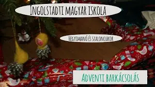 Kar&aacute;csonyfa d&iacute;sz - Man&oacute; &eacute;s szaloncukor