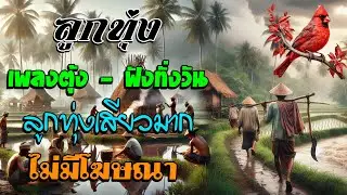 เพลงลูกทุ่งฟังเพราะ 100% คัดพิเศษ #เสียงดี #เพลงดัง ฟังทั้งอัน #ไม่มีโฆษณา