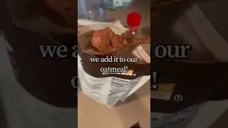 Cacao is POWERFUL! 💥🍫