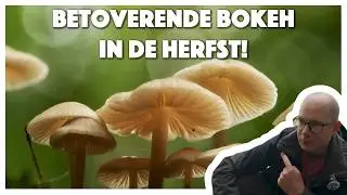 Paddenstoelen & bokeh: tips voor bosfotografie in de herfst | Macrofotografie in het Bennekomse Bos