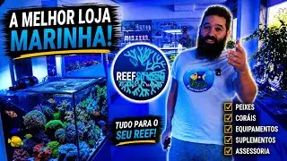 REEF STUDIO que LOJA TOP 👌