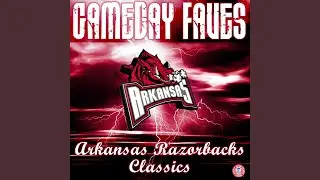 Arkansas Fight