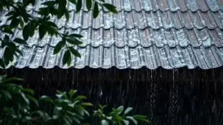 Sleep Faster Now 💤 Relaxing Night Rain Sounds to Instantly Calm Your Mind