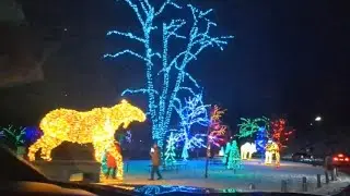 Winter Festival of Lights 2025, Niagara Falls, Canada 