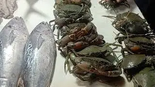 live crab cutting skills| Bangladesh Fish Market| Fresh Kakra Cutting Expert.