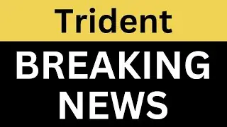 Trident Latest News | Trident Share News | Trident Breaking News | Trident Q3 Results | Trident News