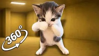 360° Scuba Cat appear in the Backrooms ! VR 4K