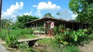 Bernadette Sarimoen - Suriname - Berr...at LAARWIJCK