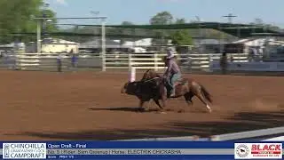 Open Draft - Final - 2023 Chinchilla Grandfather Clock Campdraft