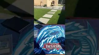 Yugioh Blue Eyes Primite Deck Profile Post Doom of Dimensions