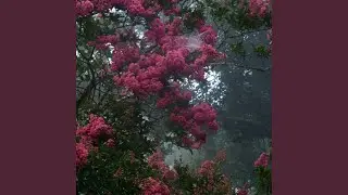 ###