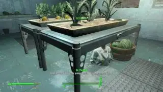 Fallout 4 Dr Penske glitch