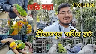 শ্রীরামপুর পেটস্ মার্কেট🙂Variety Exotic 🦜bird in low price#seramporepetmarket#birdslovers#pets
