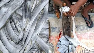 Amazing Sita bati Fish Cutting Skills Live In Kolkata Fish Market ।। Expert Fish Cutter💯