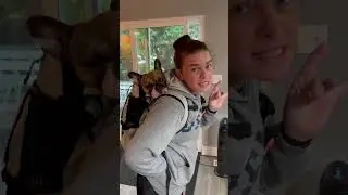 Backpack Review
