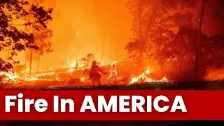 America on Fire: Devastating Wildfires, Causes, and Urgent Solutions