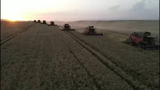 Massey Ferguson - Beta 7370