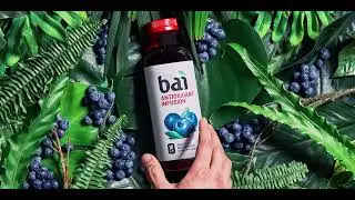 Bai Coconut Flavored Water | riverbluez.com