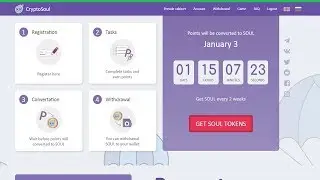 Обзор предпродажи CryptoSoul